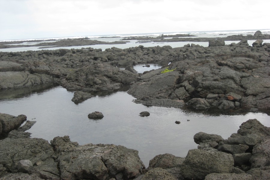 ../image/kapoho tide pools 6.jpg